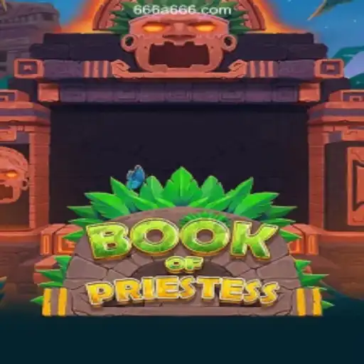 Exploring the Enigmatic World of BookOfPriestess: A Guide to Gameplay and Features
